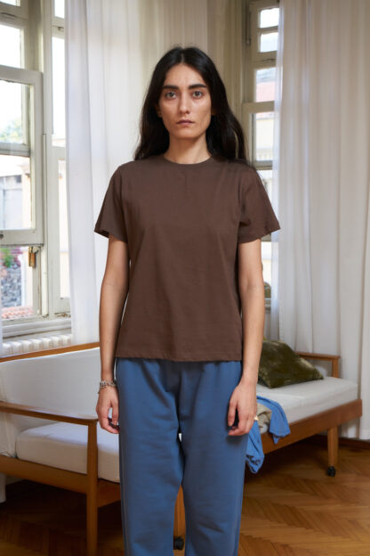 Banu brown Tshirt from organic cotton. Classic straight fit.